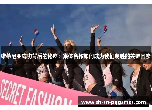 维蒂尼亚成功背后的秘密：集体合作如何成为我们制胜的关键因素