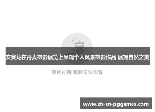 安赛龙在丹麦摄影展览上呈现个人风景摄影作品 展现自然之美